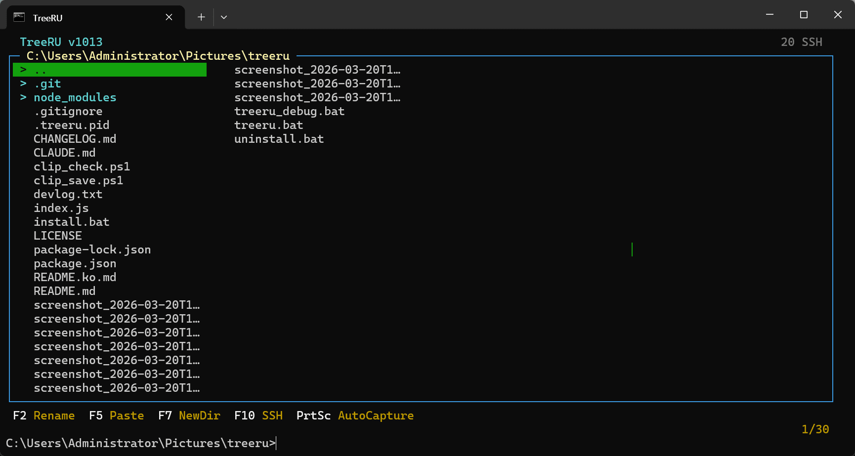 TreeRU screenshot auto-save — files saved as screenshot_datetime format in the current folder